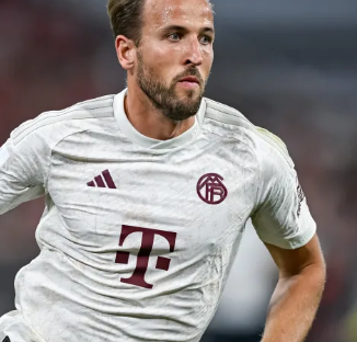 文图斯在 文图斯在